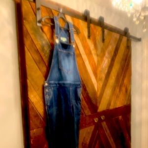 Stella McCartney denim bibbed overalls. Never worn